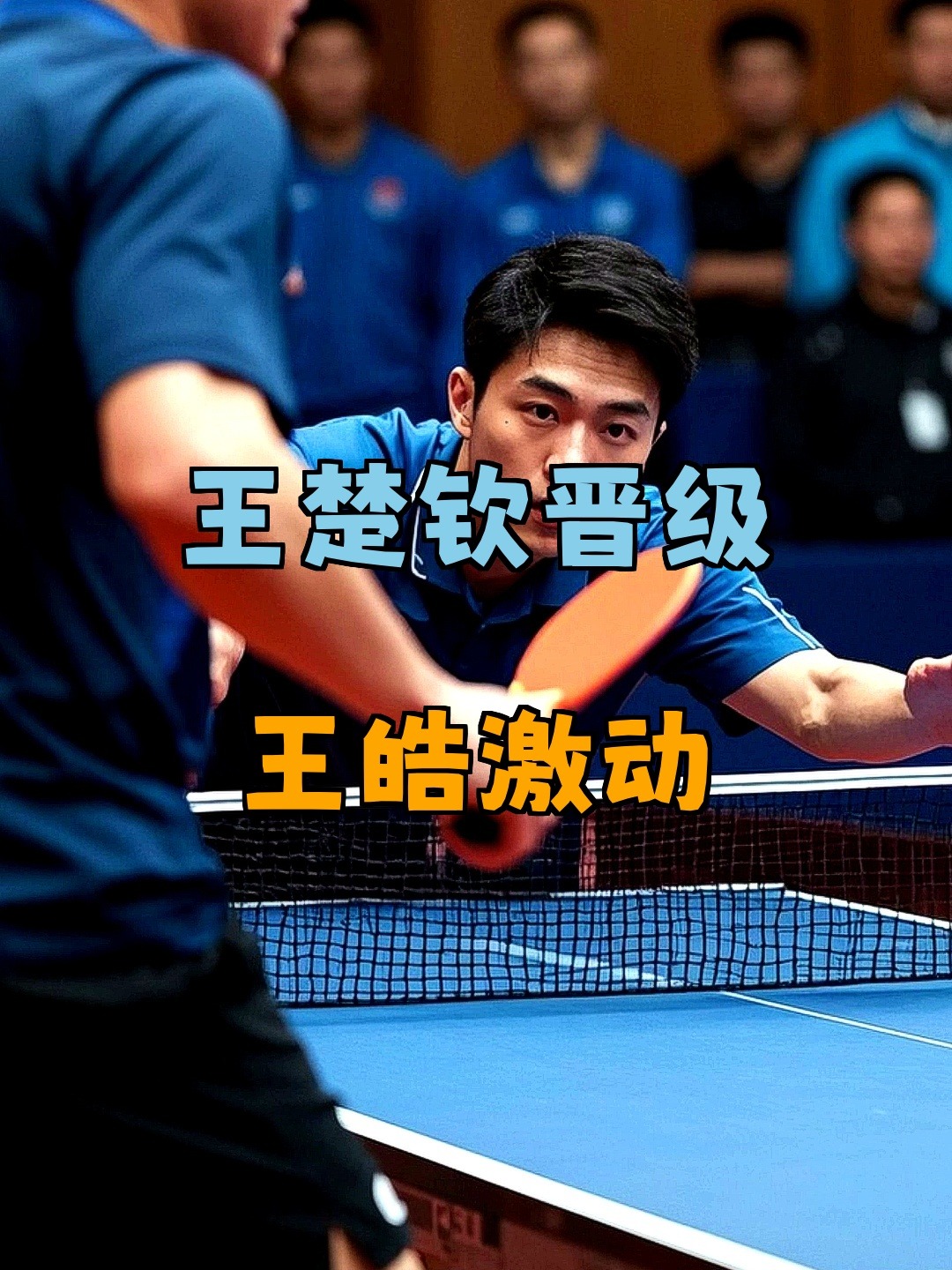 关于比利时乒乓球队碾压波兰乒乓球队，王皓高光表现的信息