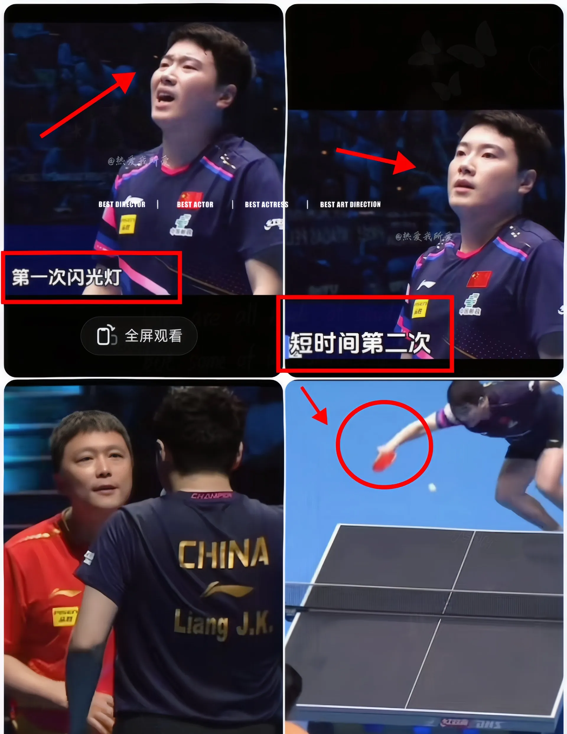 瑞典队绝杀日本队，梁靖崑统治全场的简单介绍