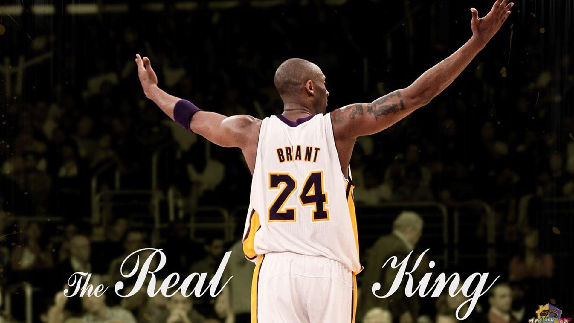 九游官网-独行侠强压火箭，锡安比赛走势一手掌控，新星崛起与战术博弈